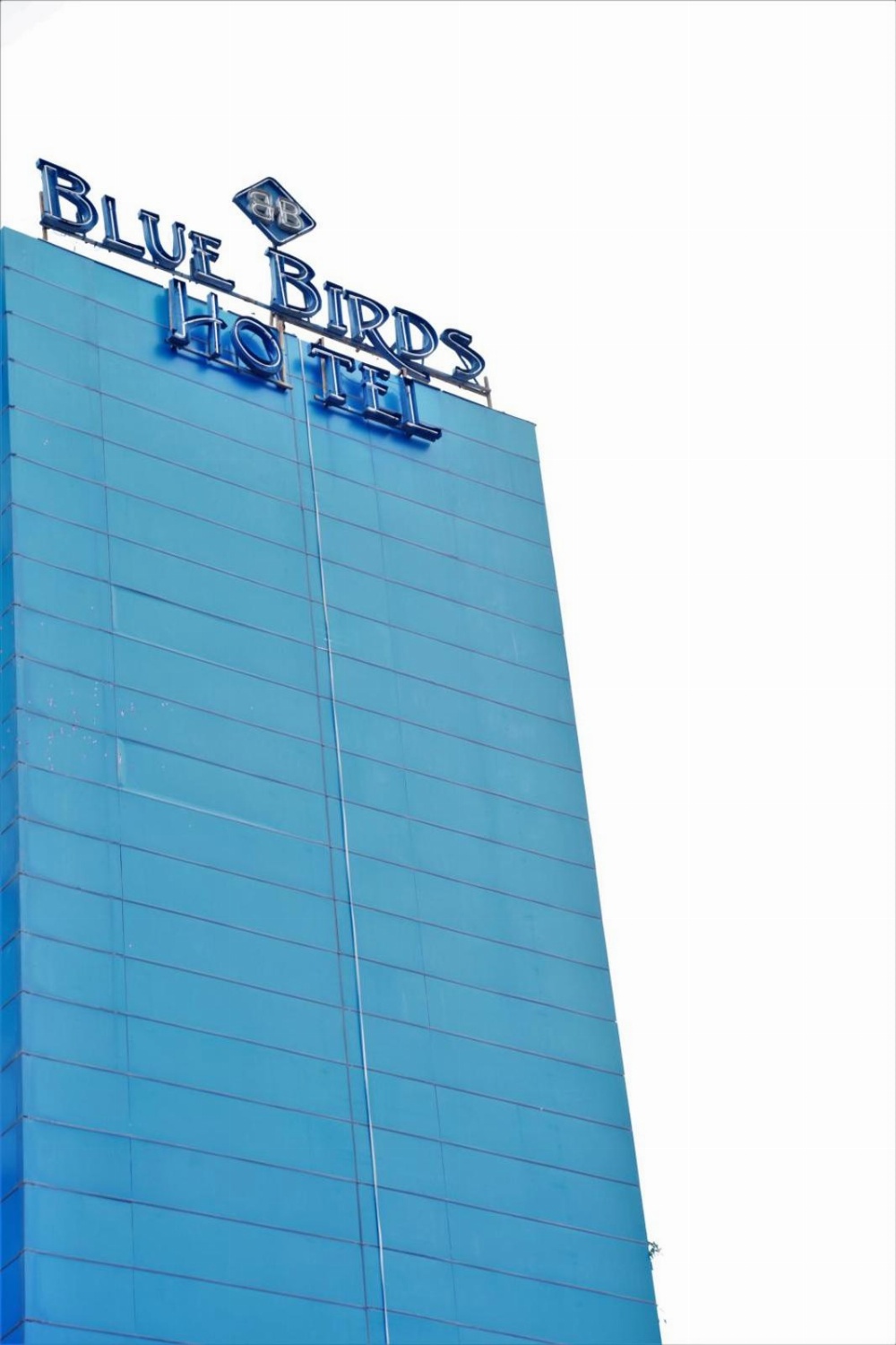 Blue Birds International Hotel Main image